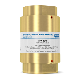 NV400 PN40 check valve